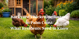 Backyard chickens in a Palm Coast residential yard, illustrating the city’s backyard chicken ordinance for eligible homeowners.