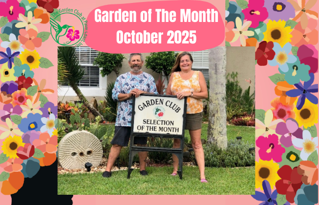 The Garden Club at Palm Coast proudly announces Angela and Vinny Yacuzzi of Feling Lane as the Selection of the Month for October 2025.