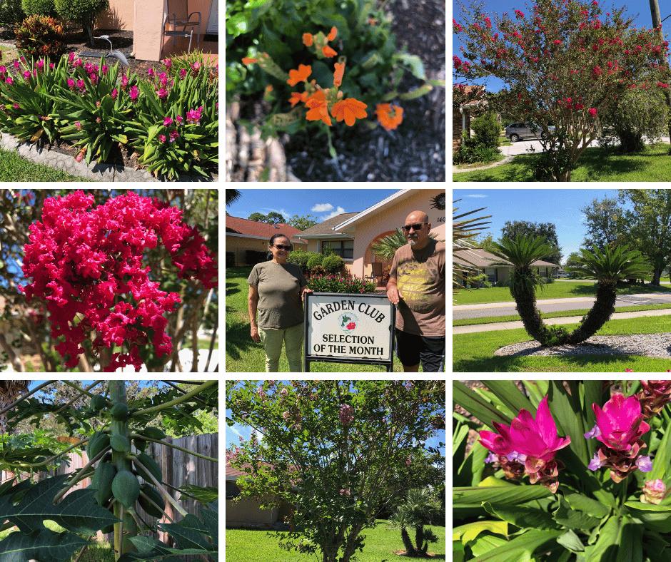 The Garden Club at Palm Coast proudly announces Gloria and Raj Vohra of Florida Park Drive as the Selection of the Month for November 2025.