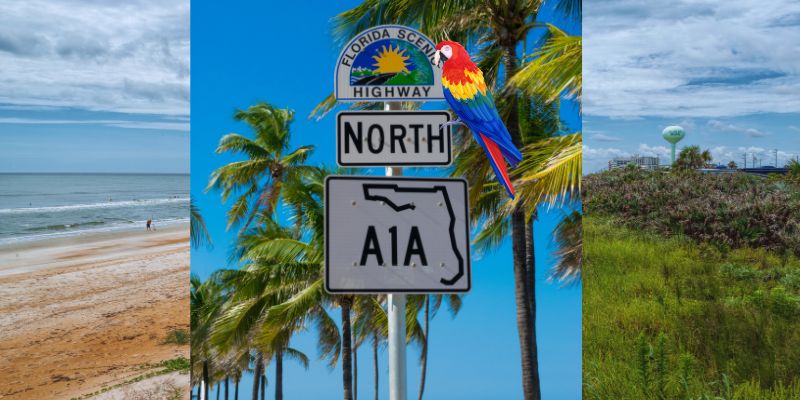 From Florida Scenic Highway to Jimmy Buffett Memorial: A1A turns parrothead in Florida From Florida Scenic Highway to Jimmy Buffett Memorial: A1A turns parrothead in Florida