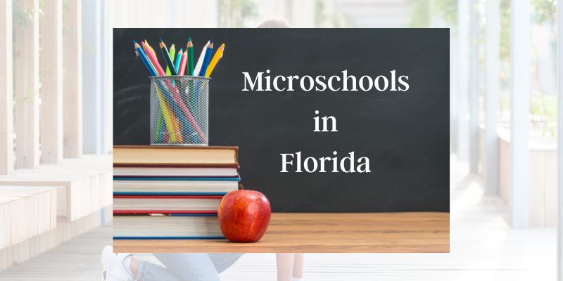 Microschools in Florida Gaining Attention as an Empowering Option for Parents and Teachers. Microschools in Florida Gaining Attention