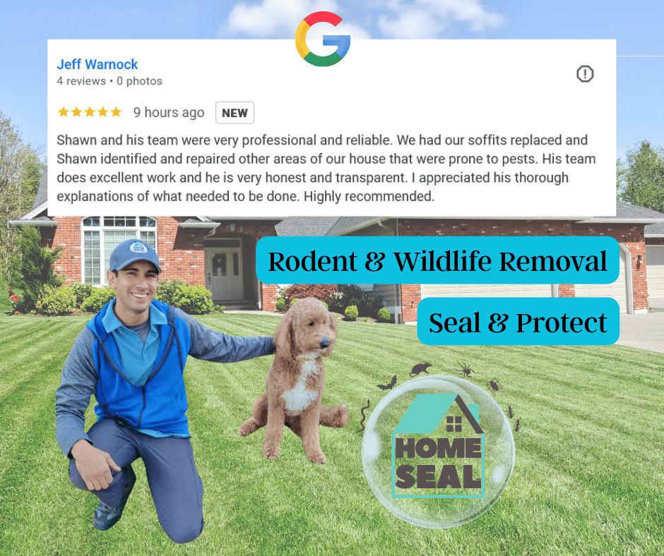 home seal palm coast
