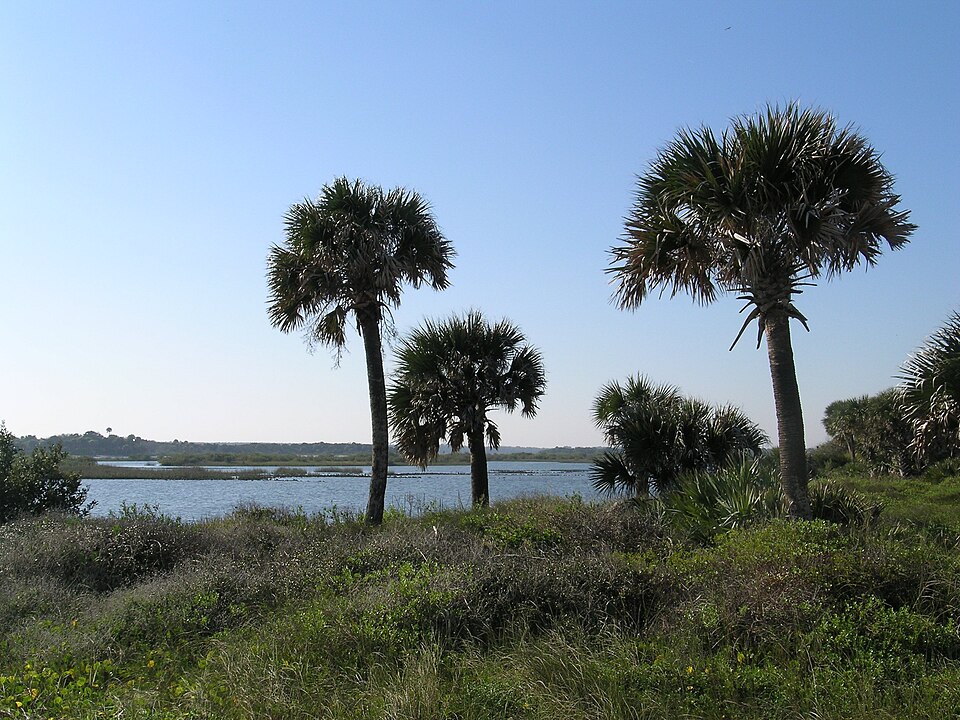 River to Sea Preserve beach in Marineland, Florida