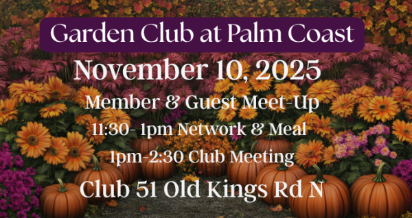For members and guest at Club 51