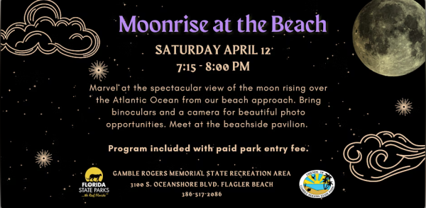 Marvel at the spectacular view of the moon rising over the Atlantic Ocean from our beach approach! | Palm Coast Local Events