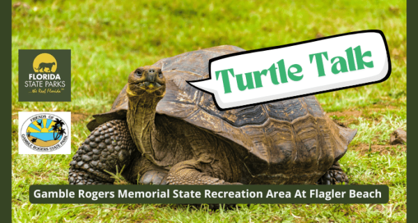 July 11, 2025 Gamble Rogers State Park in Flagler Beach | Palm Coast Local Events