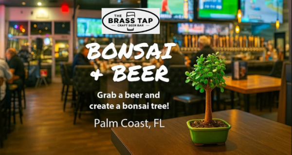 Dec 20, 2025 Grab a beer, create a Bonsai | Palm Coast Local Events