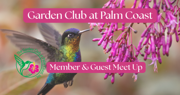 Monthly Meet up for Members and Guest
