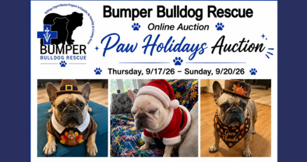 Live Auction Online